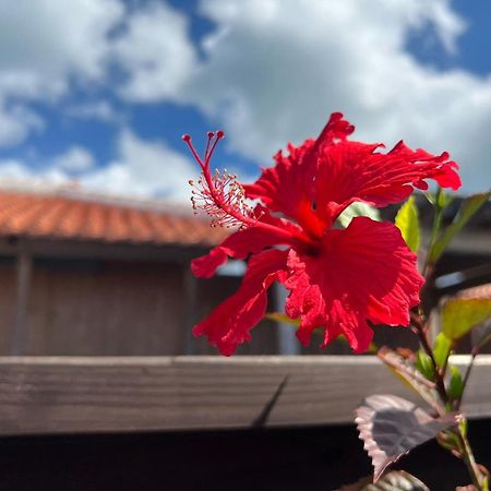 Villa Muse Okinawa- Vacation Stay 43823V Nago Eksteriør billede